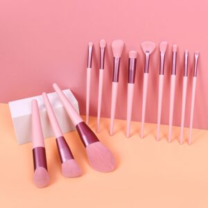 12-Piece Pink Makeup Brush Set for Foundation, Powder, Blush & Eyeshadow