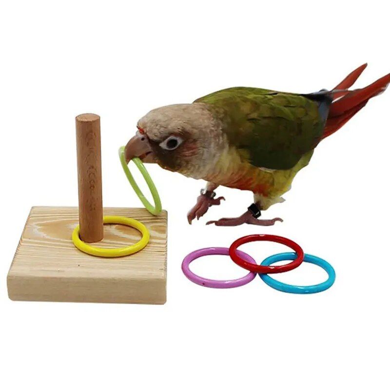 Colorful Parrot Puzzle Toy Set - Image 7