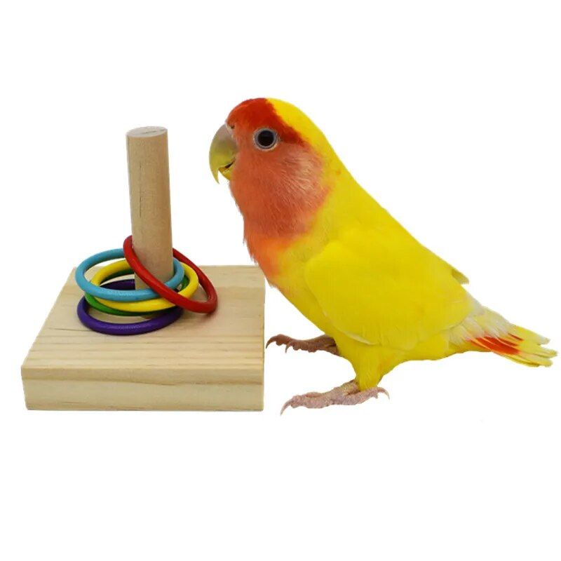Colorful Parrot Puzzle Toy Set - Image 6