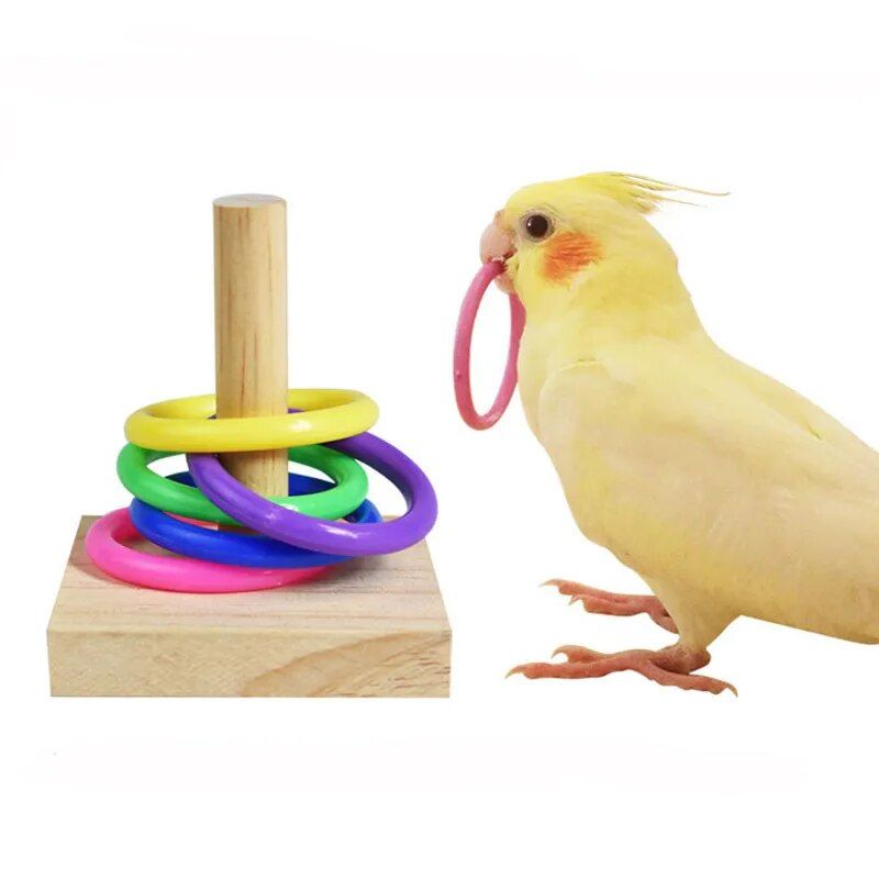 Colorful Parrot Puzzle Toy Set - Image 2