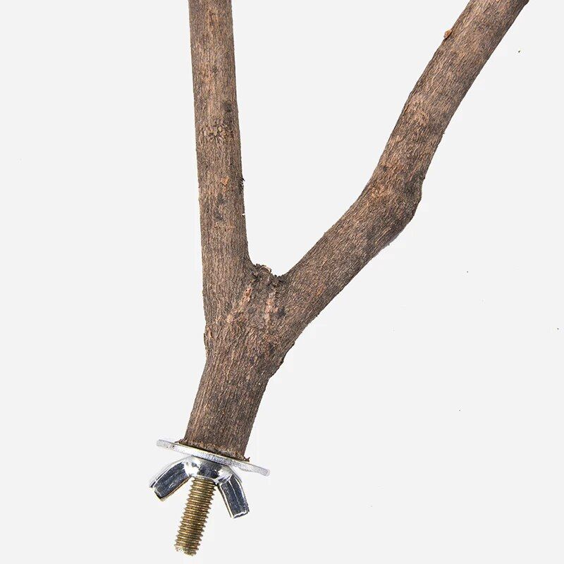 Natural Wood Parakeet Play Perch - Image 6