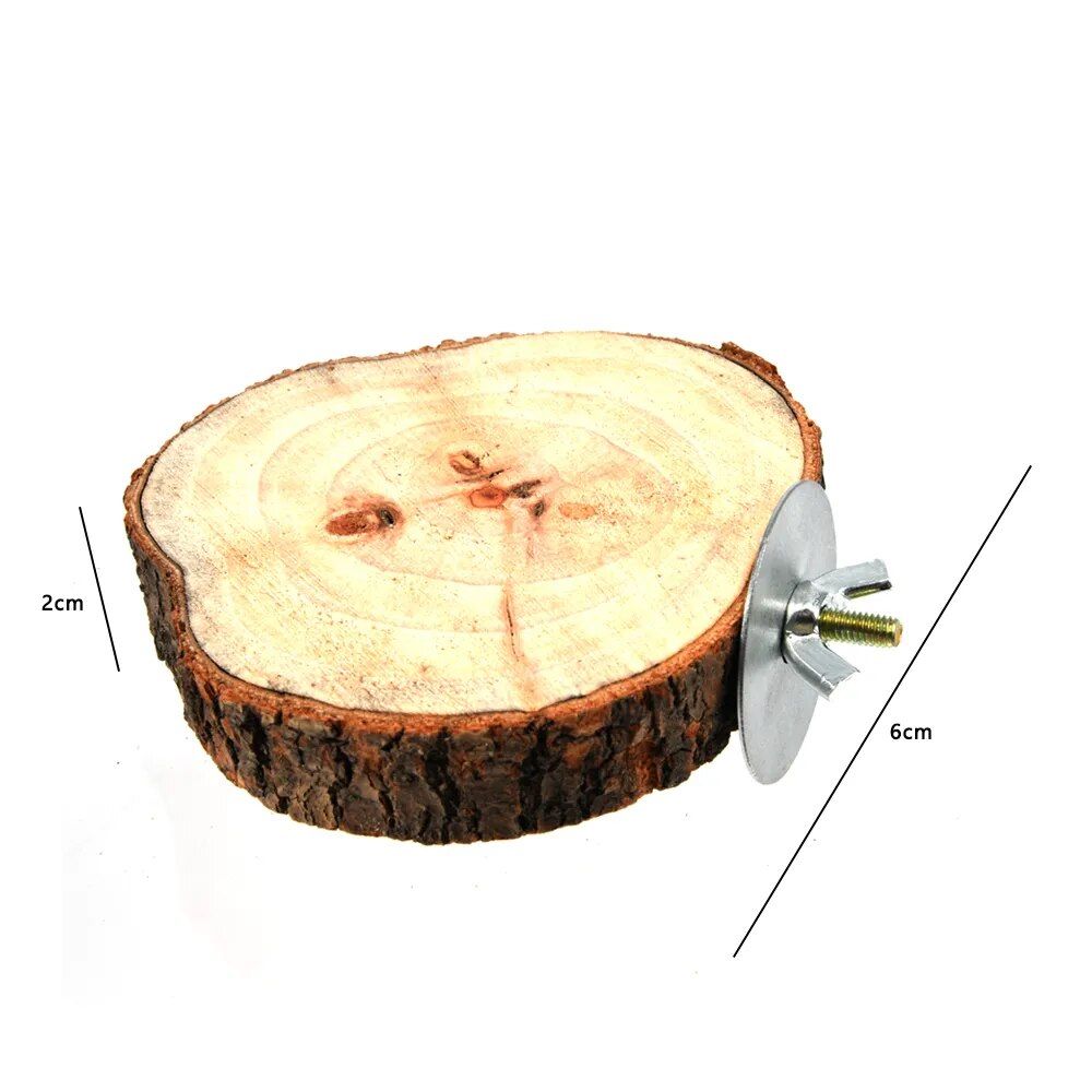 Natural Wooden Bird and Small Pet Perch - Image 4