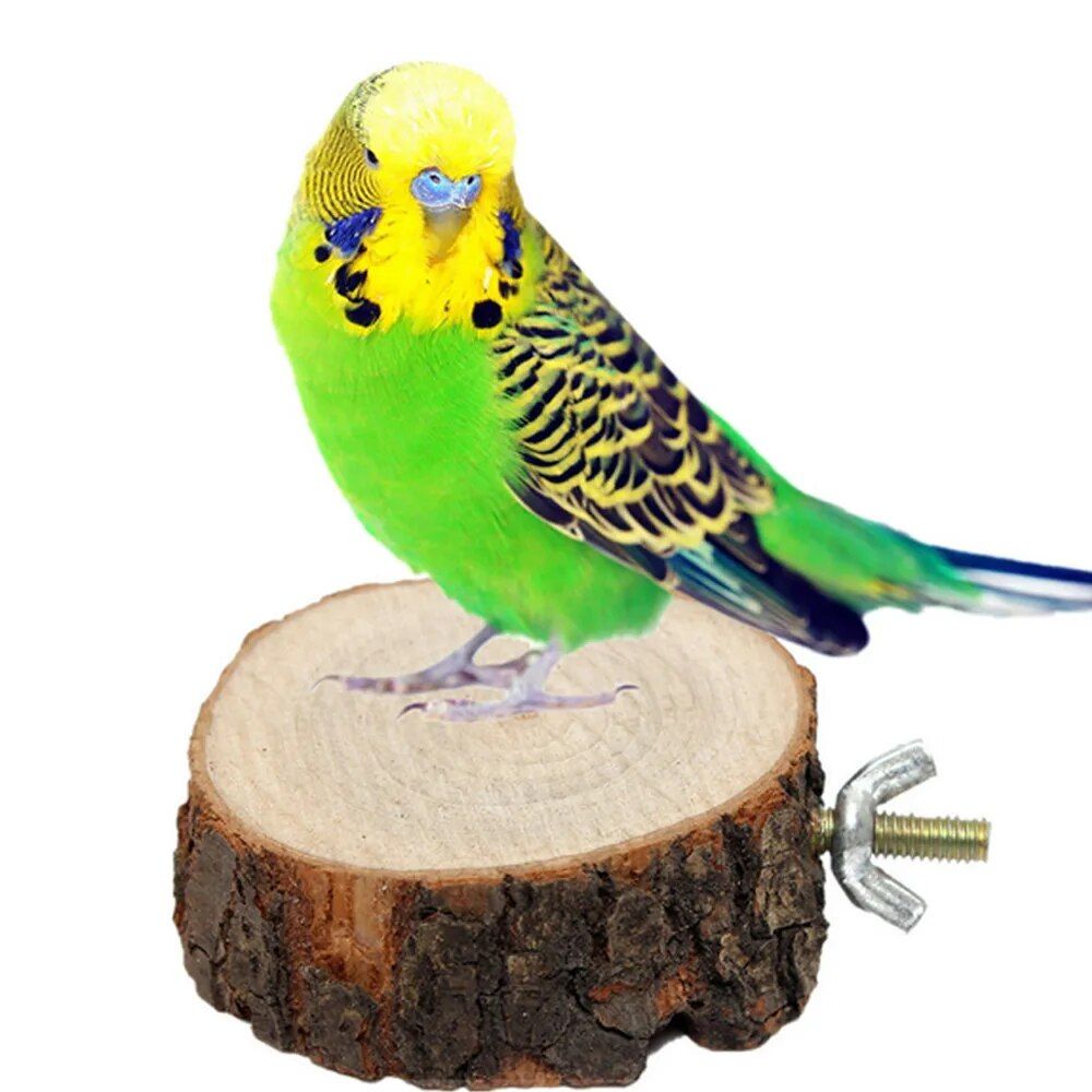 Natural Wooden Bird and Small Pet Perch - Image 2