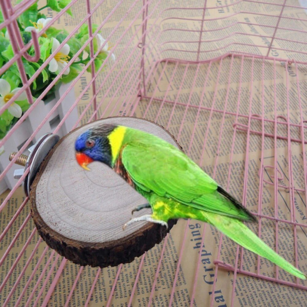 Natural Wooden Bird and Small Pet Perch - Image 5