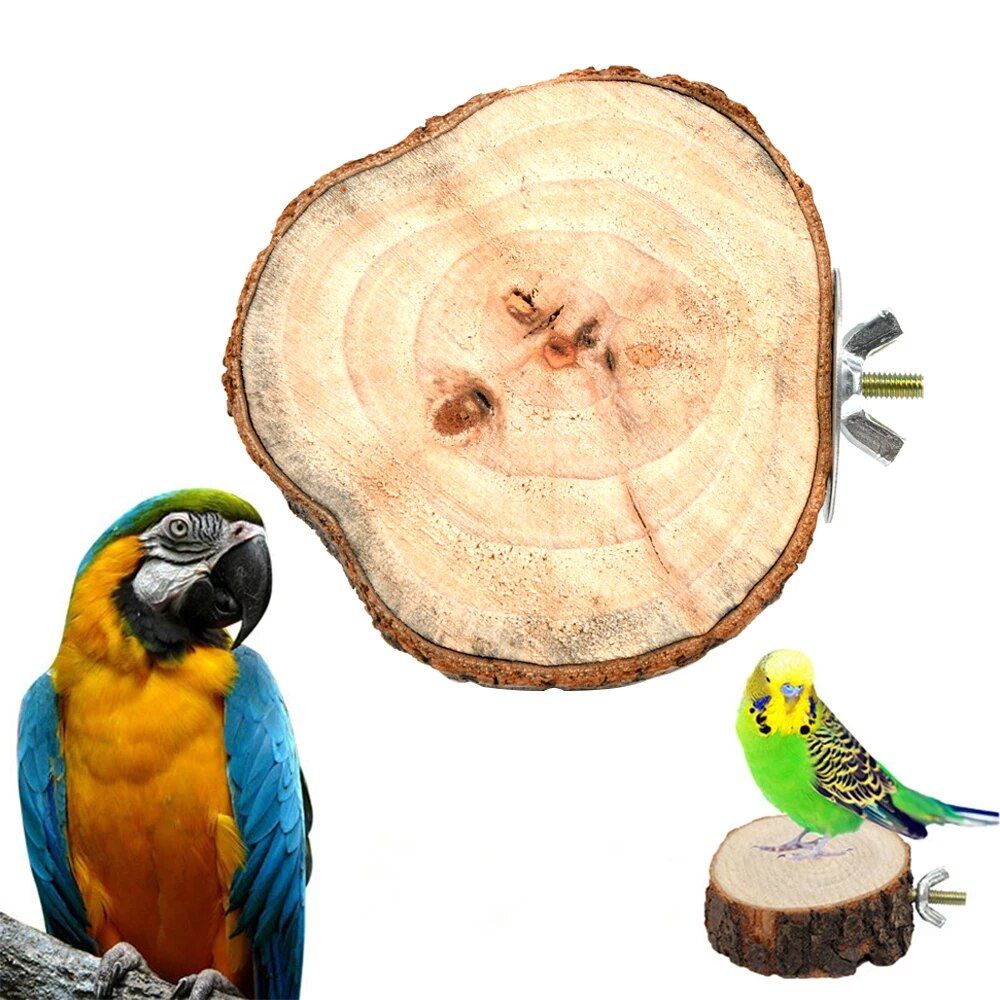Natural Wooden Bird and Small Pet Perch - Image 8
